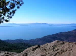 Oyster Dome