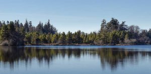 Cranberry Lake, Anacortes, Washington