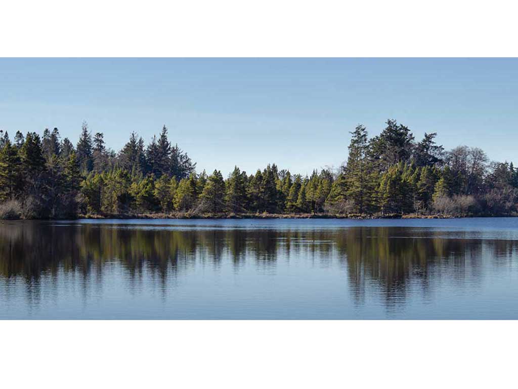 Cranberry Lake