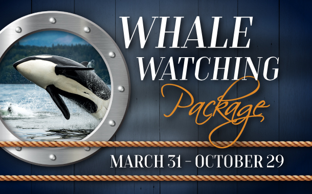 Whale Watching Package